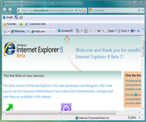 instalar internet explorer 8